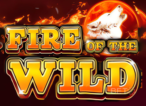 Fire of the Wild