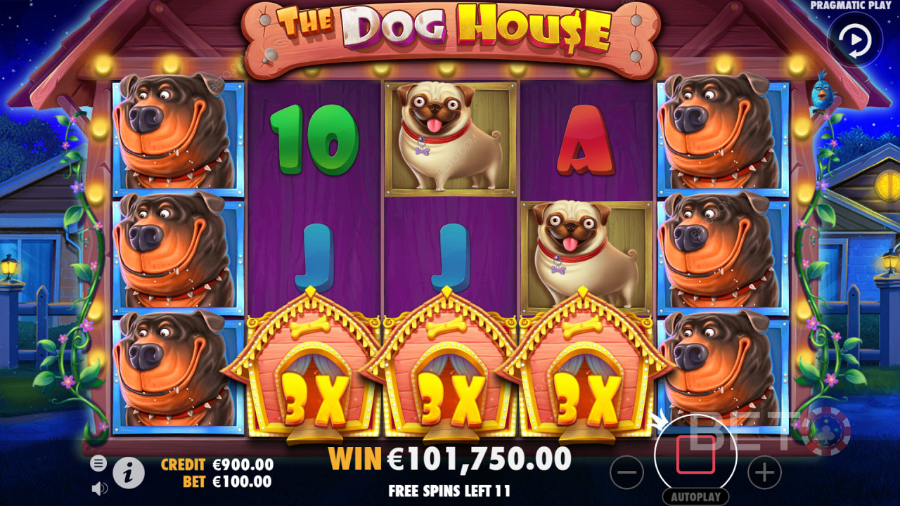 The Dog House - Erittäin ystävällinen ja suosittu kolikkopeli.