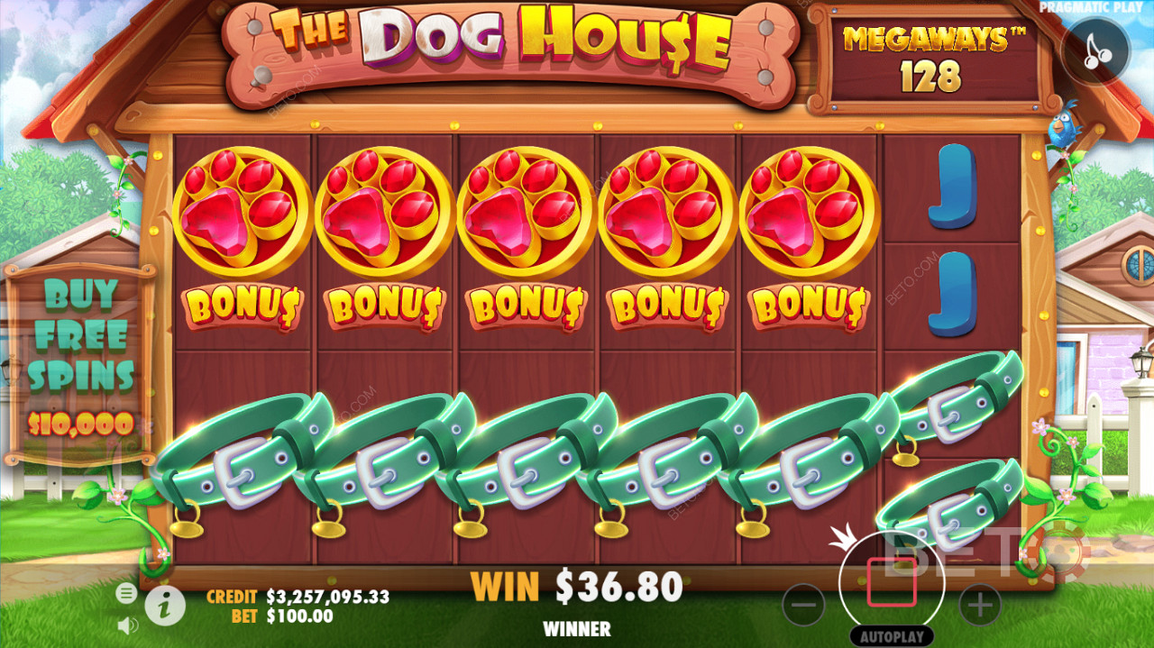 Yksityiskohtainen peliliittymä The Dog House Megaways -kasinokolikkopelien kolikkopeleihin