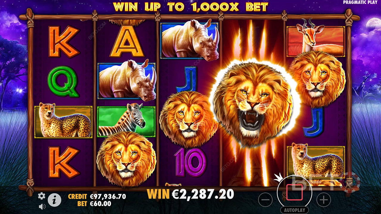 Safari King (Pragmatic Play)  Pelaa Ilmaiseksi