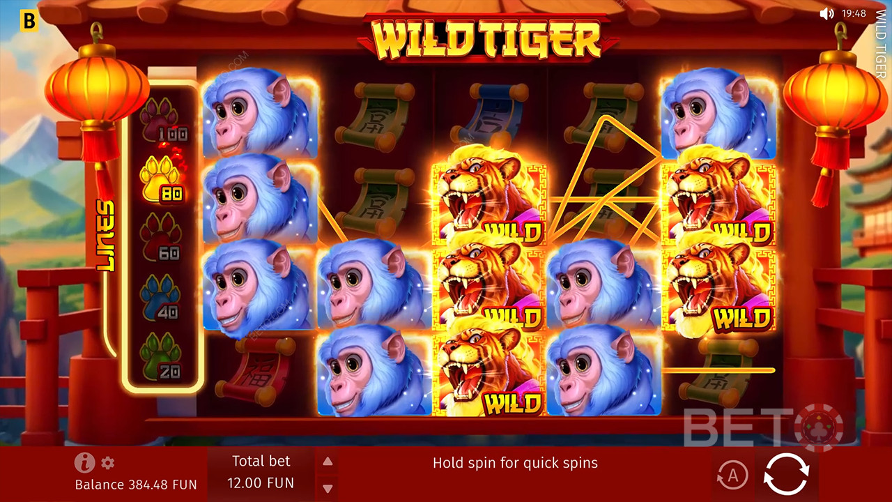 Wild Tiger arvostelu BETO Slotsilta