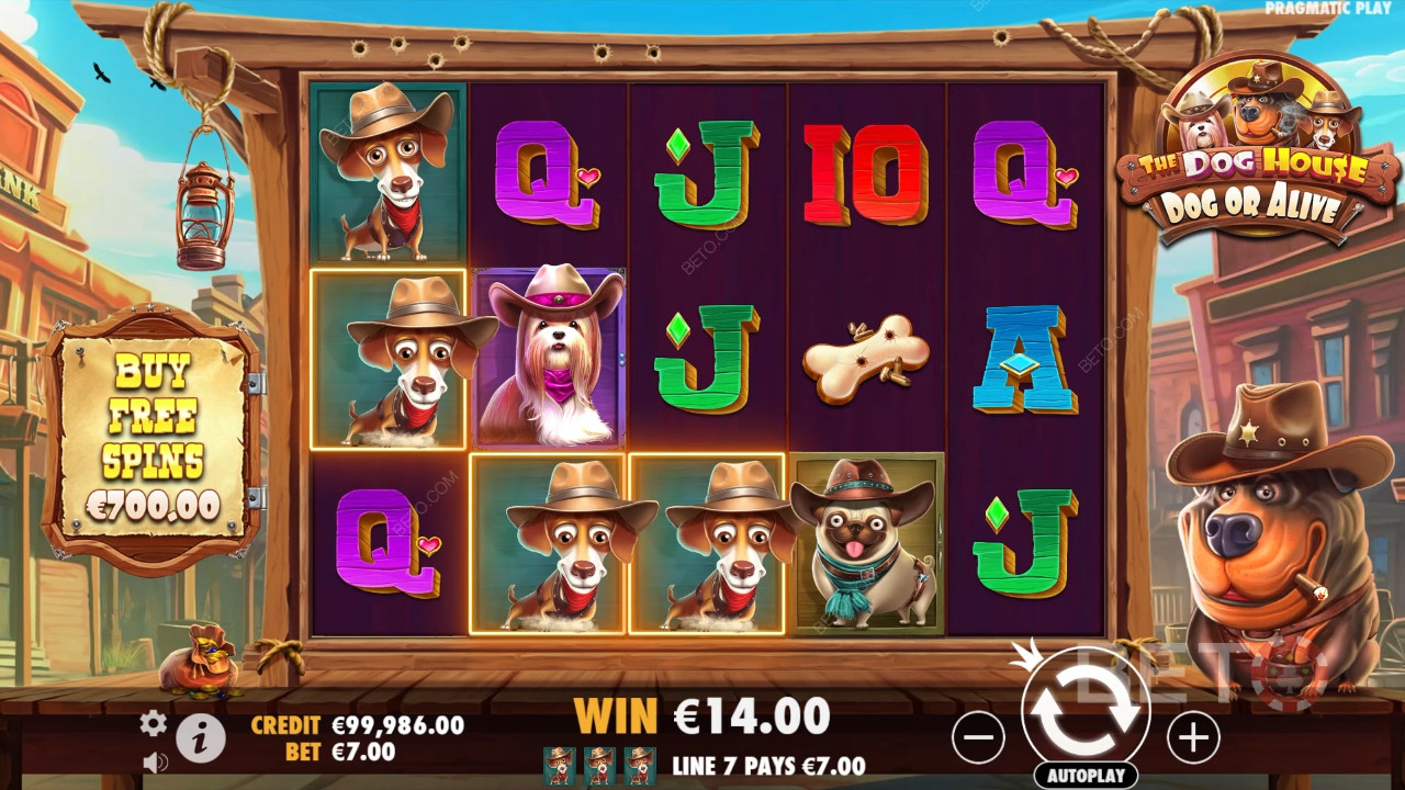Teema & suunnittelu: Wild West Dogs