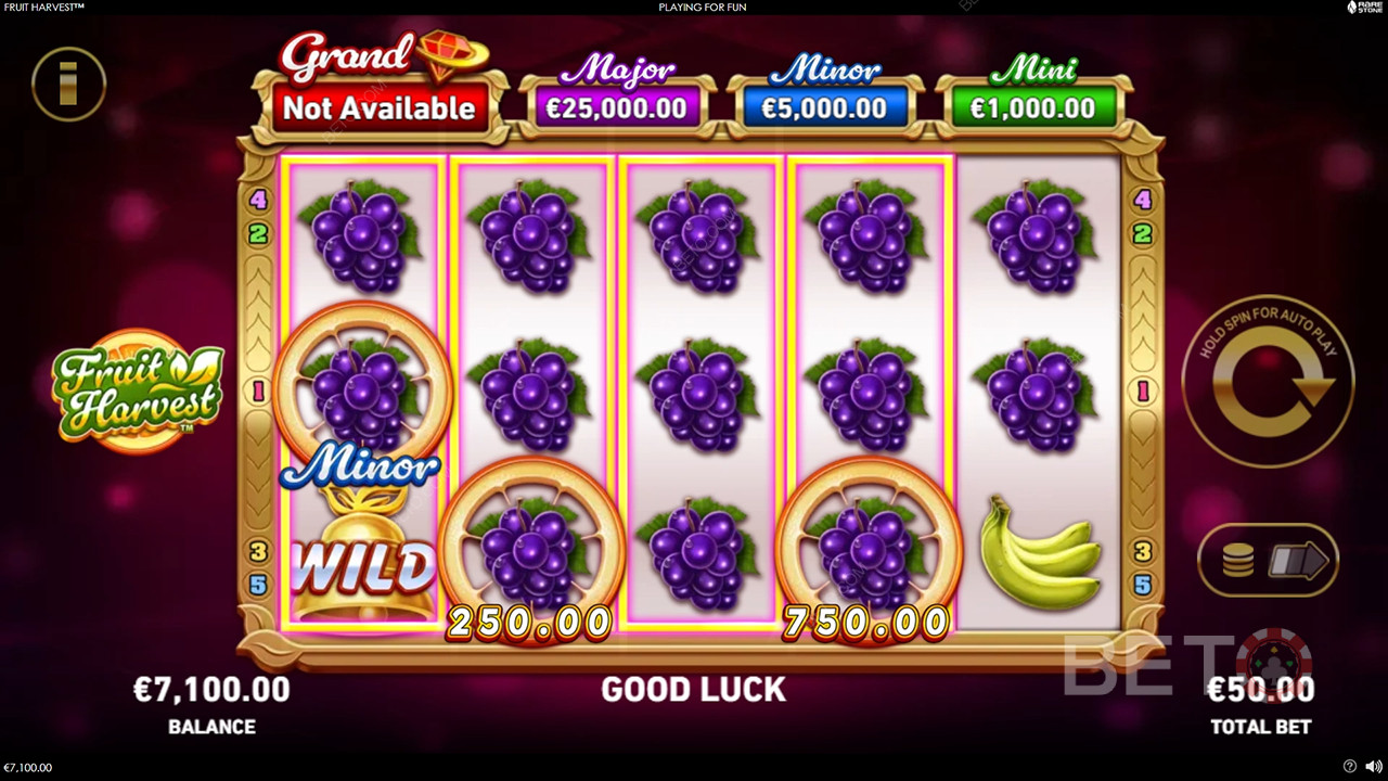 Fruit Harvest Review by BETO Slots
