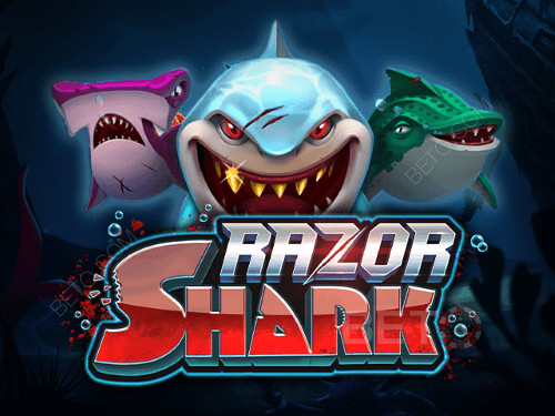 Razor Shark nettikolikkopeli