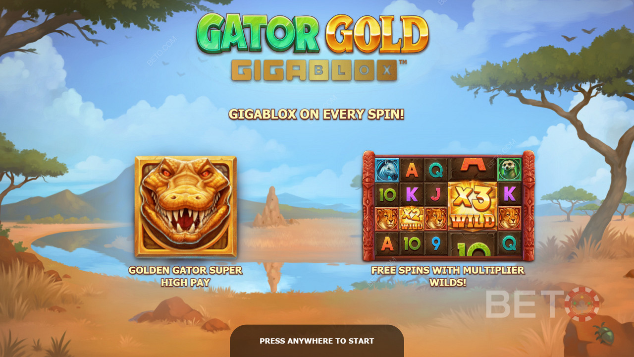 Gator Gold Gigabloxin esittelynäyttö