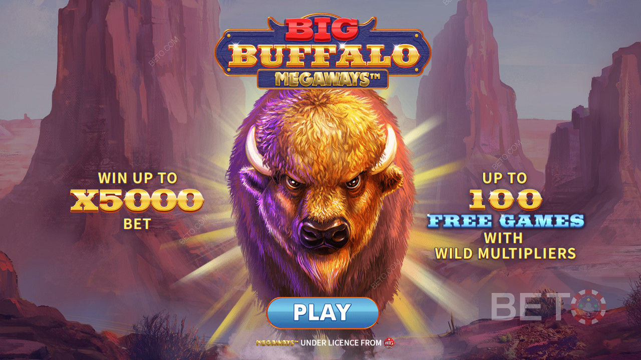 Voita jopa 5,000-kertainen panoksesi Big Buffalo Megaways -pelissä.