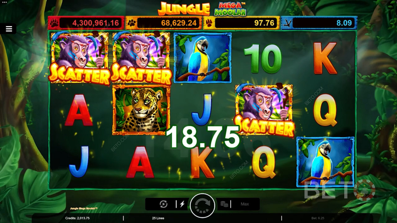 Saa 3 Monkey Scatteria aktivoidaksesi ilmaiskierrokset Jungle Mega Moolah nettikolikkopelissä.