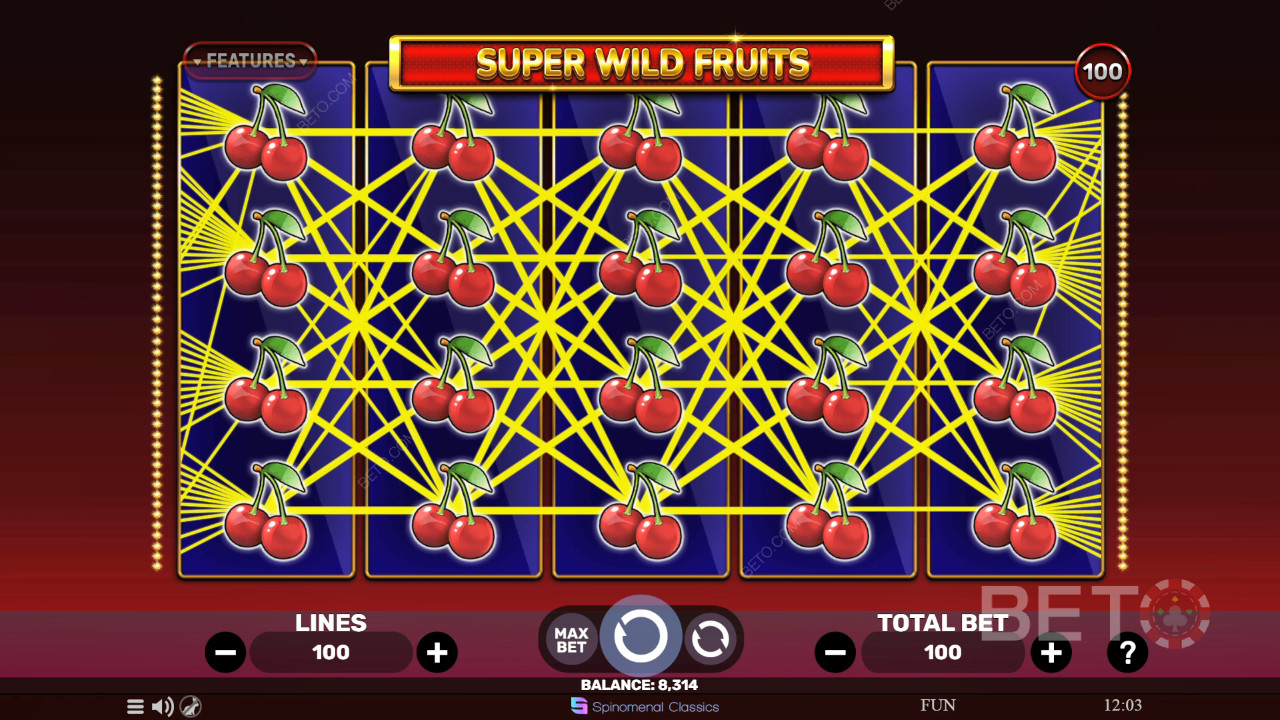 Super Wild Fruits arvostelu BETO Slotsilta