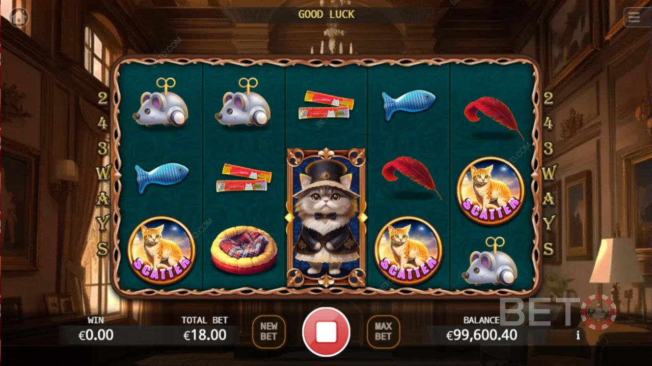 Noble Cat Pelaa Ilmaiseksi