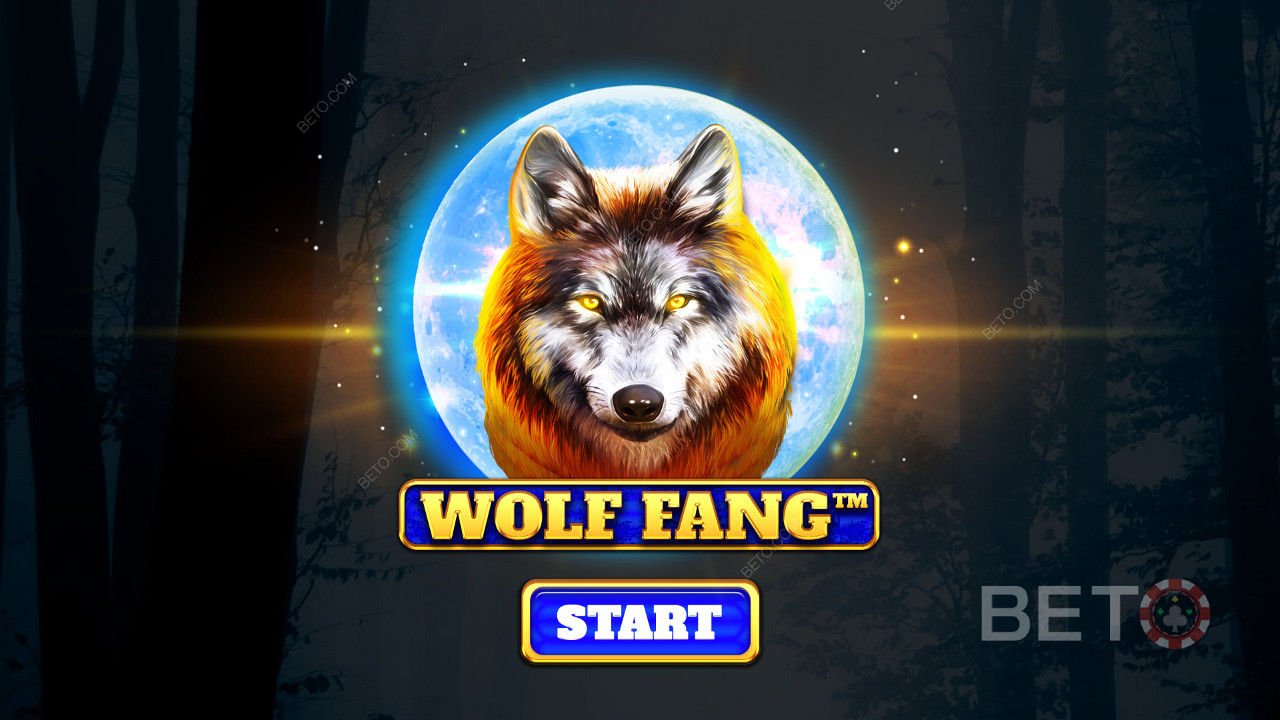 Metsästä villeimpien susien keskellä ja voita palkintoja Wolf Fang -nettikolikkopelissä.