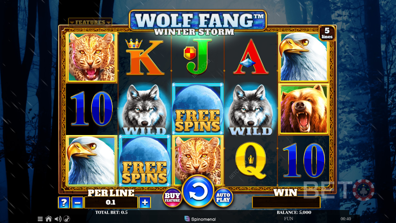 Wolf Fang Talvimyrskyn arvostelu BETO Slotsilta