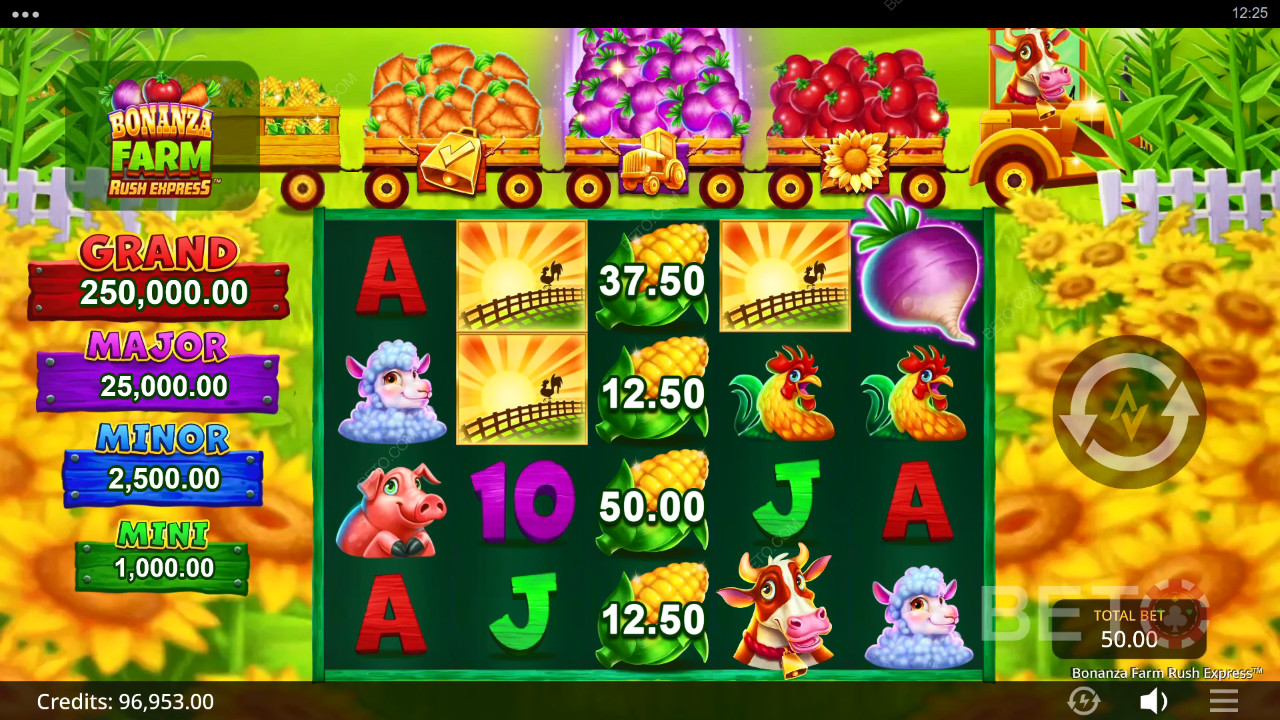 Bonanza Farm Rush Express Pelaa Ilmaiseksi