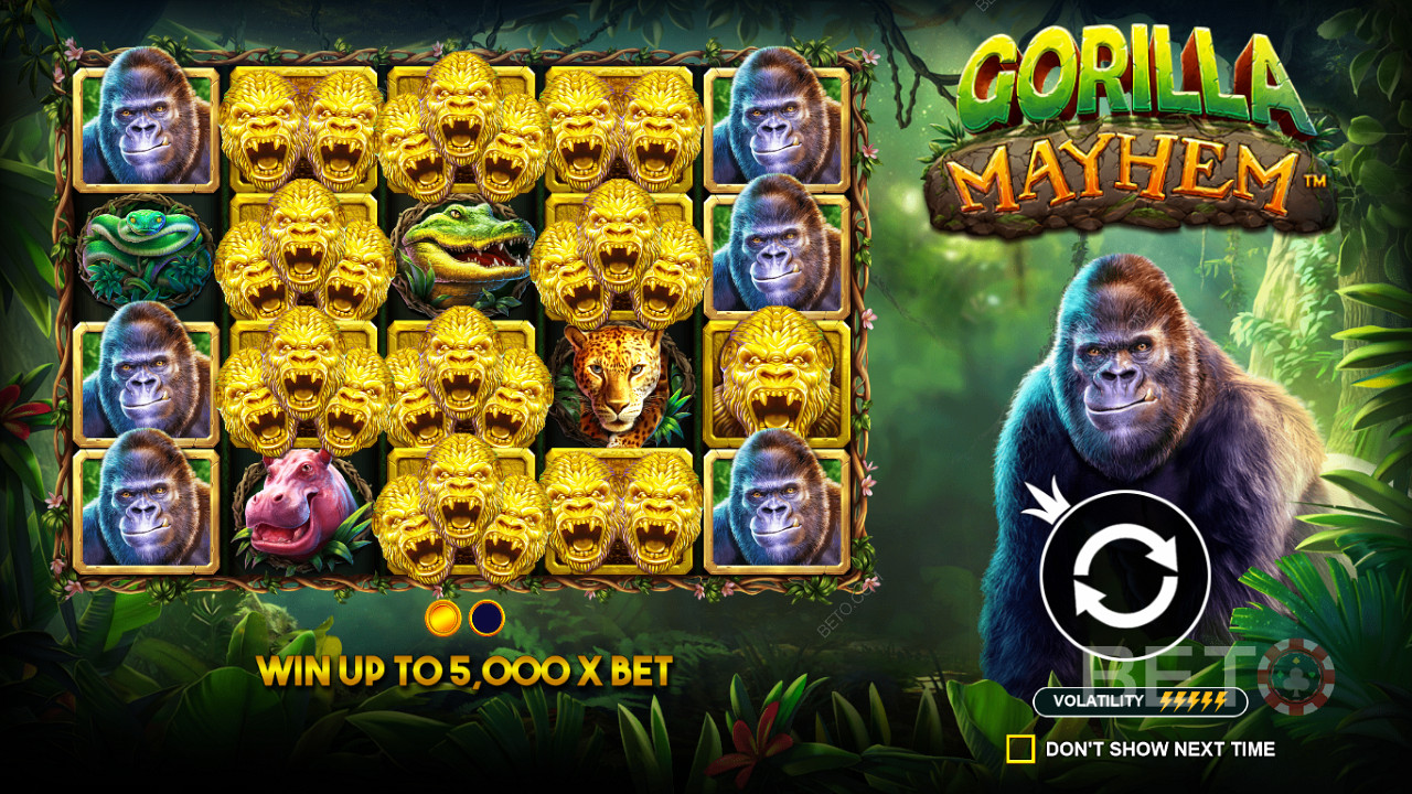 Golden Gorilla -symboleilla on tärkeä rooli Gorilla Mayhem -kolikkopelissä.