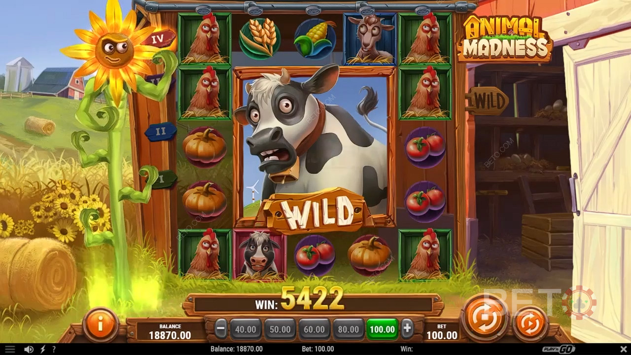 Animal Madness arvostelu by BETO Slots