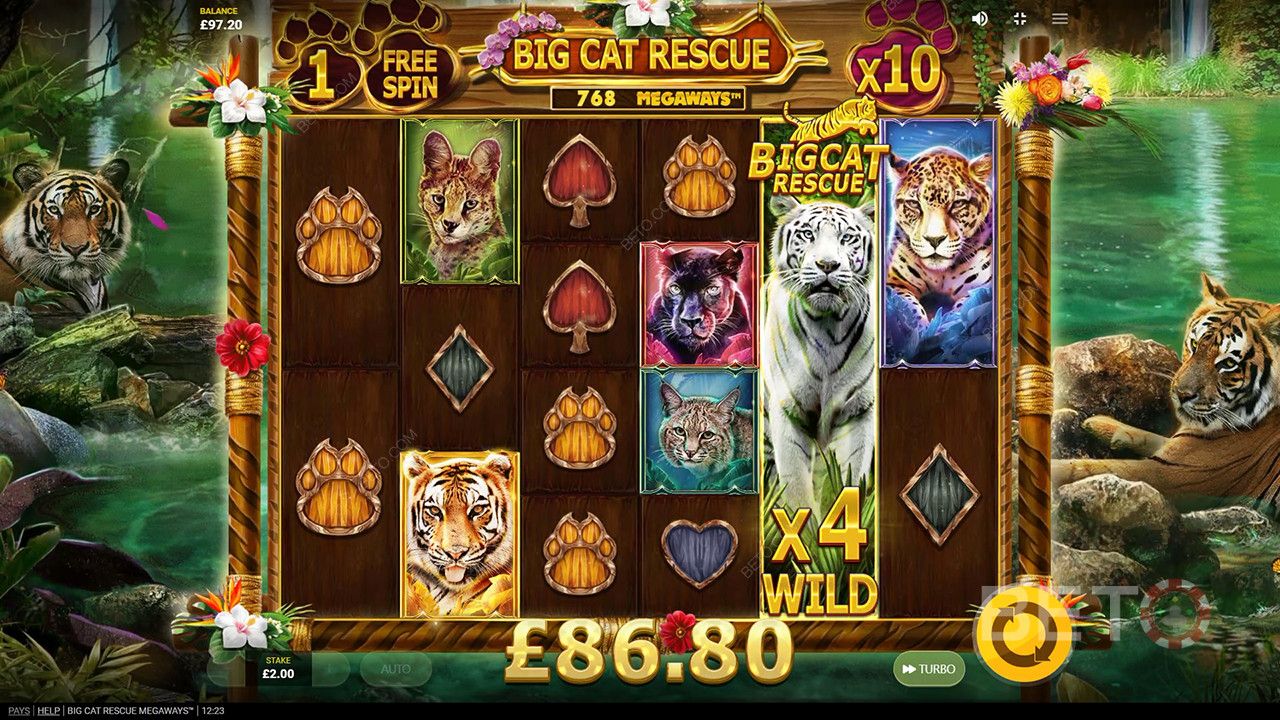 Big Cat Rescue Megaways arvostelu BETO Slotsilta