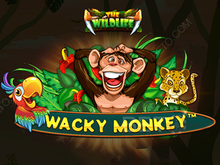 Wacky Monkey Demo