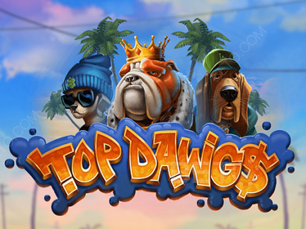 Top Dawgs Demo