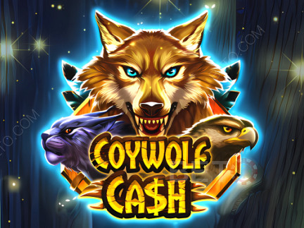 Coywolf Cash Demo