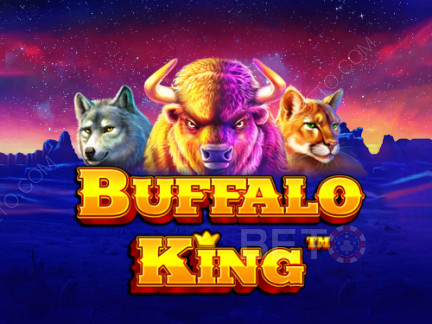 Buffalo King  Demo
