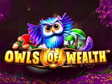 Owls of Wealth Demo