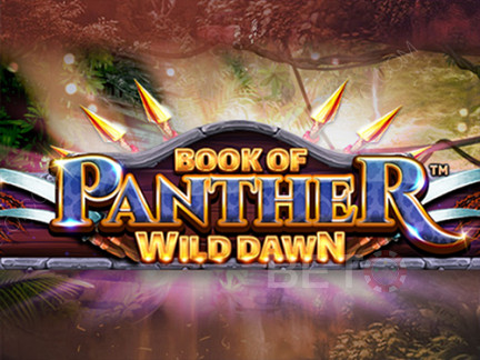 Book of Panther Demo